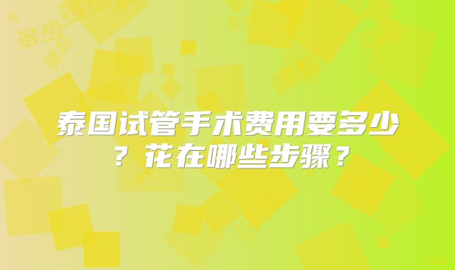 泰国试管手术费用要多少？花在哪些步骤？
