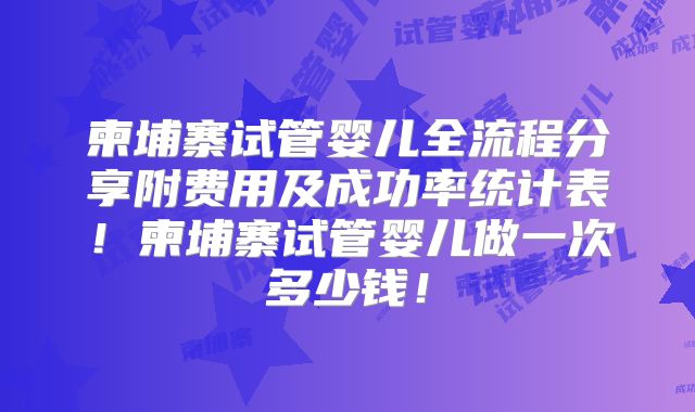 柬埔寨试管婴儿全流程分享附费用及成功率统计表!柬埔寨试管婴儿做一次多少钱!