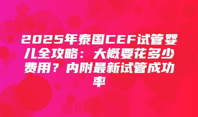 2025年泰国CEF试管婴儿全攻略：大概要花多少费用？内附最新试管成功率