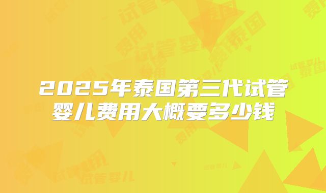 2025年泰国第三代试管婴儿费用大概要多少钱