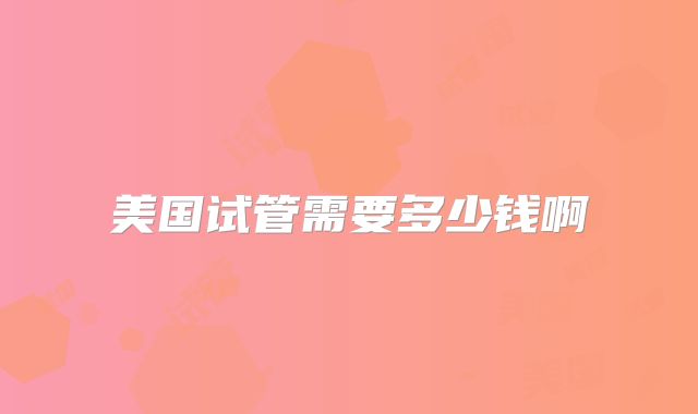 美国试管需要多少钱啊