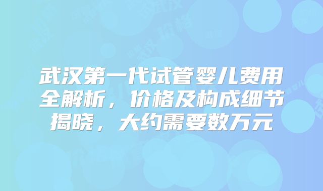 武汉第一代试管婴儿费用全解析，价格及构成细节揭晓，大约需要数万元