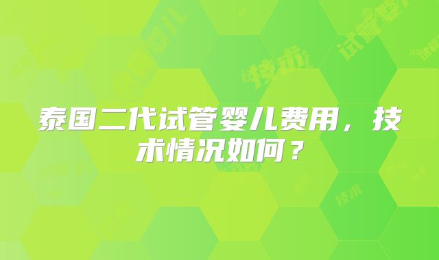 泰国二代试管婴儿费用，技术情况如何？