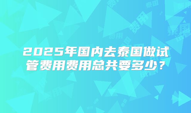 2025年国内去泰国做试管费用费用总共要多少？