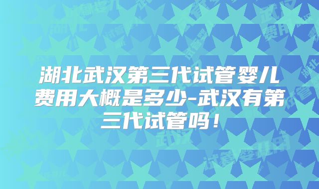 湖北武汉第三代试管婴儿费用大概是多少-武汉有第三代试管吗！