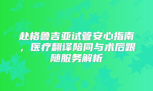 赴格鲁吉亚试管安心指南，医疗翻译陪同与术后跟随服务解析