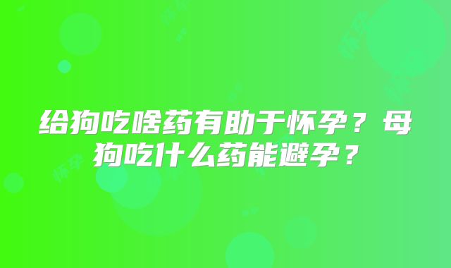 给狗吃啥药有助于怀孕?母狗吃什么药能避孕?