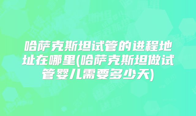 哈萨克斯坦试管的进程地址在哪里(哈萨克斯坦做试管婴儿需要多少天)