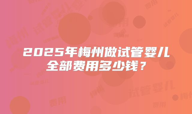 2025年梅州做试管婴儿全部费用多少钱？