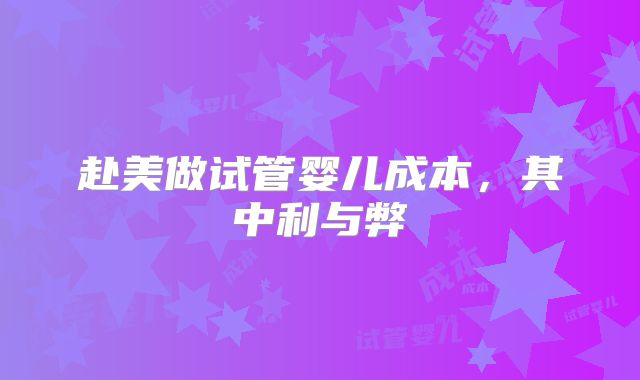 赴美做试管婴儿成本，其中利与弊