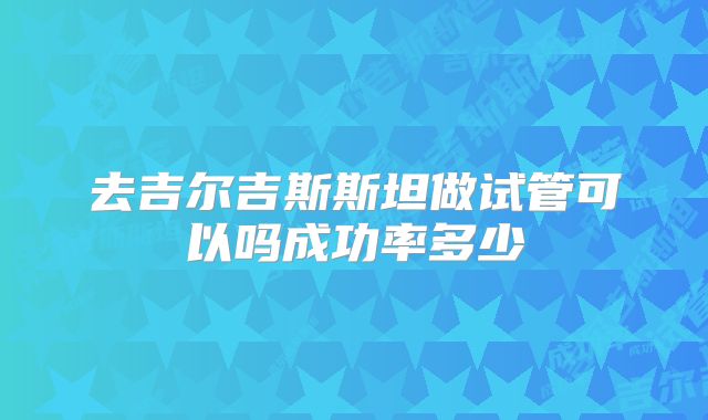 去吉尔吉斯斯坦做试管可以吗成功率多少