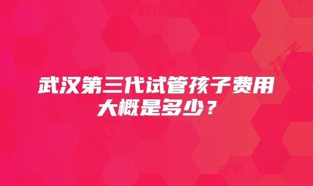 武汉第三代试管孩子费用大概是多少？