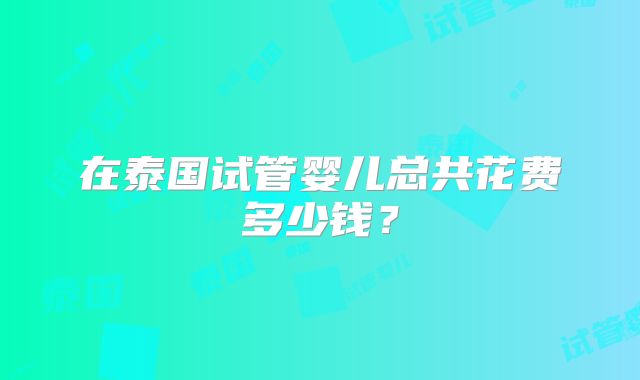 在泰国试管婴儿总共花费多少钱？