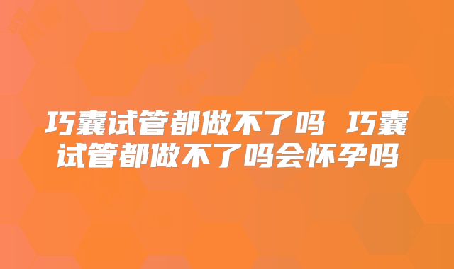 巧囊试管都做不了吗 巧囊试管都做不了吗会怀孕吗