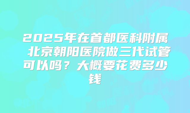 2025年在首都医科附属 北京朝阳医院做三代试管可以吗?大概要花费多少钱