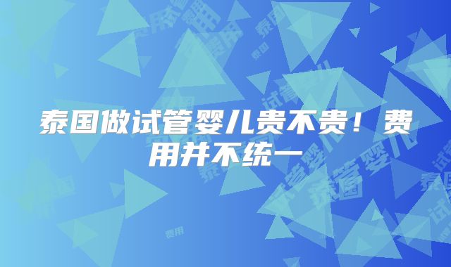 泰国做试管婴儿贵不贵！费用并不统一