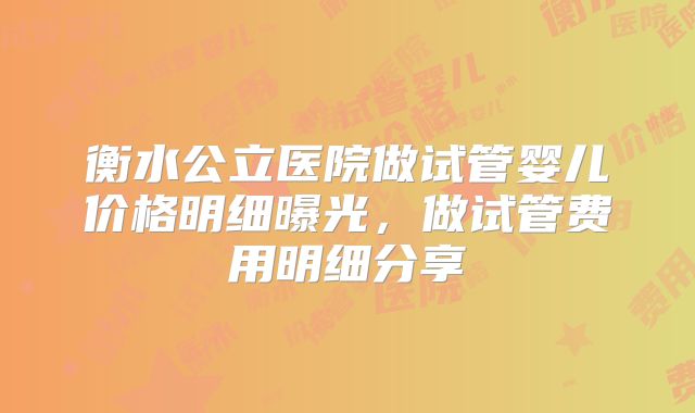 衡水公立医院做试管婴儿价格明细曝光，做试管费用明细分享