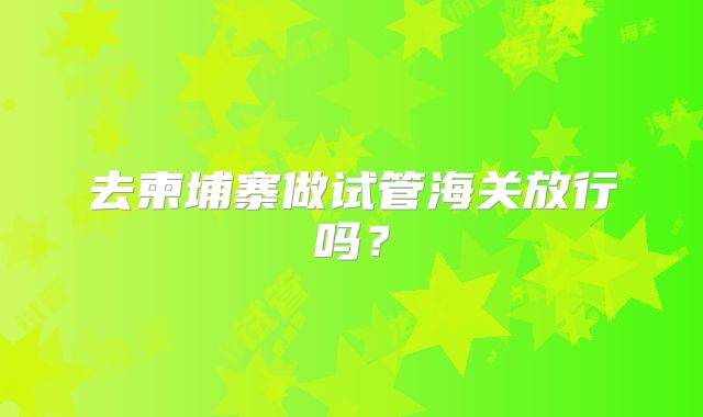 去柬埔寨做试管海关放行吗？