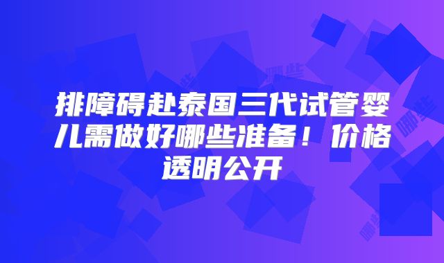 排障碍赴泰国三代试管婴儿需做好哪些准备!价格透明公开