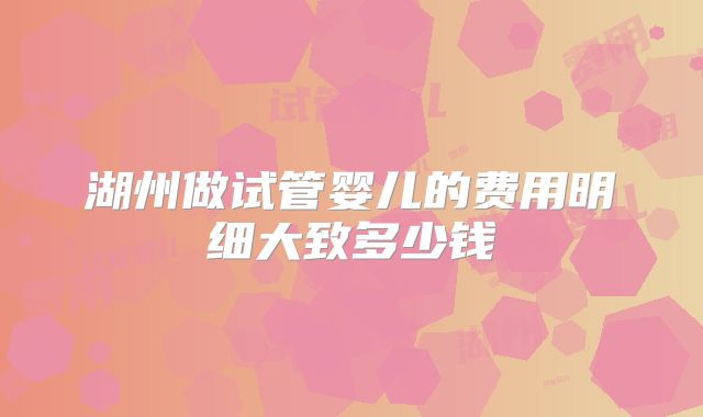 湖州做试管婴儿的费用明细大致多少钱