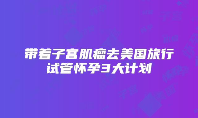 带着子宫肌瘤去美国旅行试管怀孕3大计划