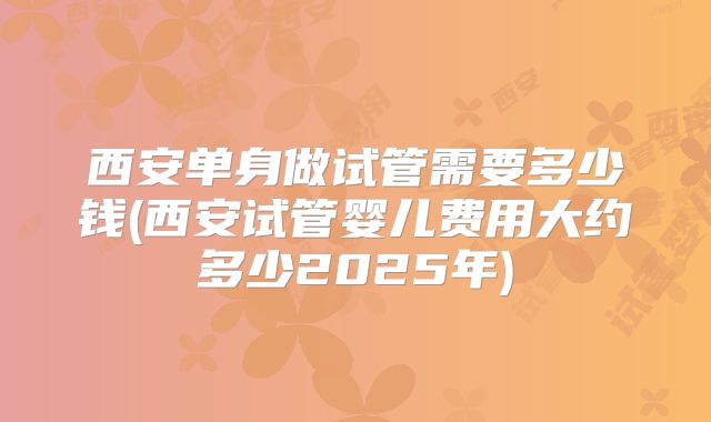 西安单身做试管需要多少钱(西安试管婴儿费用大约多少2025年)
