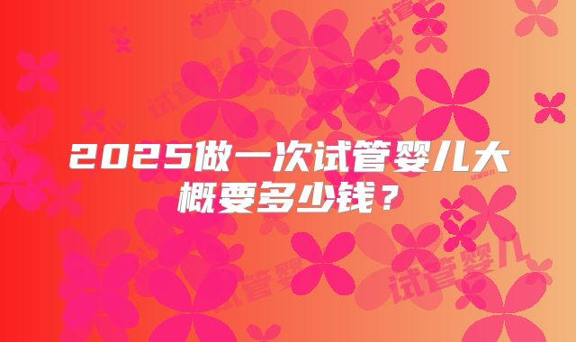 2025做一次试管婴儿大概要多少钱？