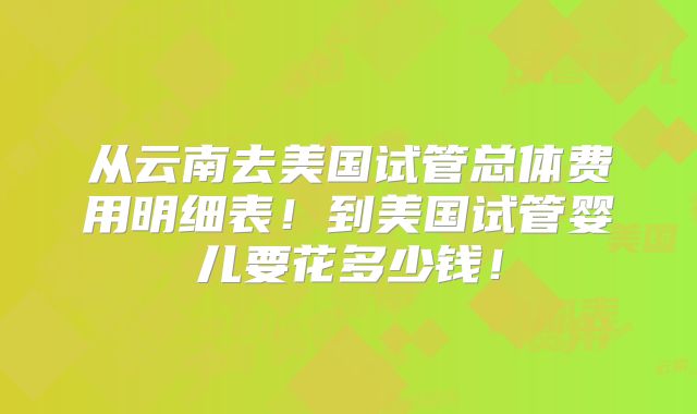 从云南去美国试管总体费用明细表！到美国试管婴儿要花多少钱！