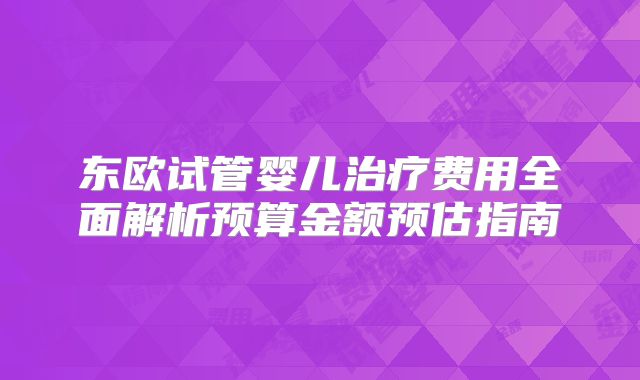 东欧试管婴儿治疗费用全面解析预算金额预估指南