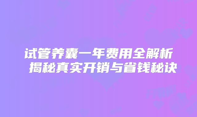 试管养囊一年费用全解析 揭秘真实开销与省钱秘诀