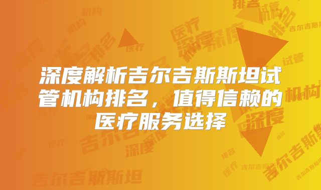 深度解析吉尔吉斯斯坦试管机构排名，值得信赖的医疗服务选择