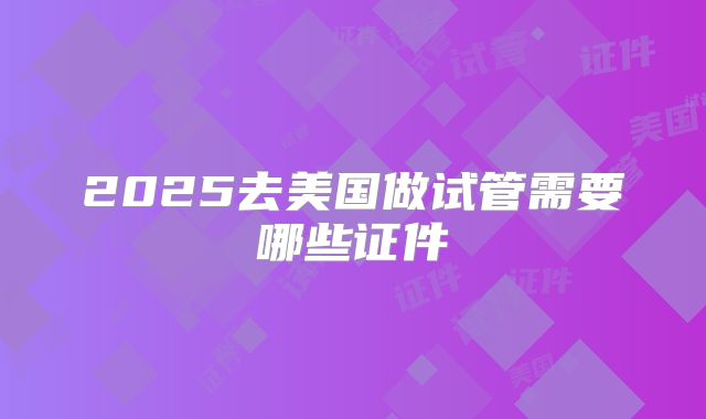 2025去美国做试管需要哪些证件