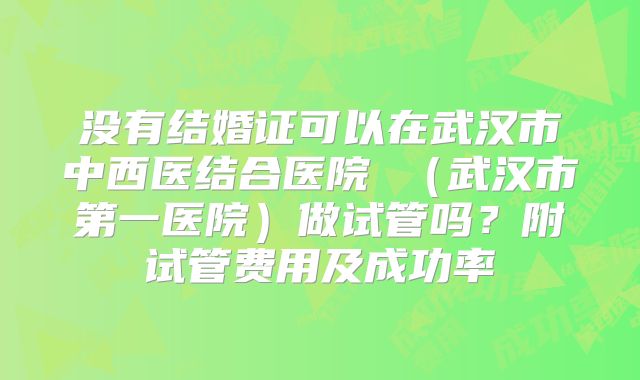 没有结婚证可以在武汉市中西医结合医院 （武汉市第一医院）做试管吗？附试管费用及成功率