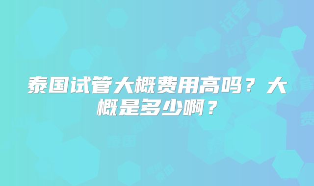 泰国试管大概费用高吗?大概是多少啊?