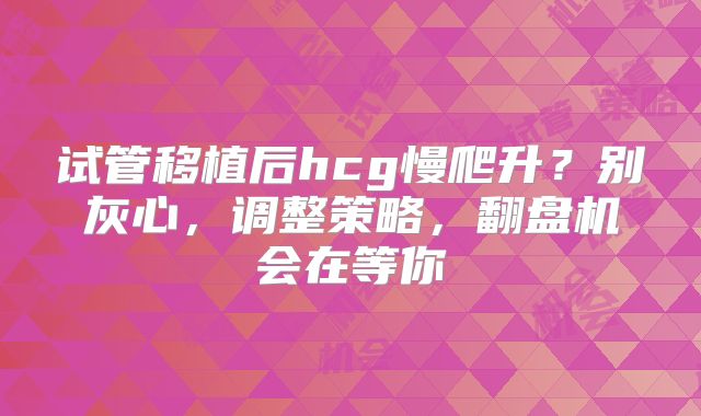 试管移植后hcg慢爬升？别灰心，调整策略，翻盘机会在等你
