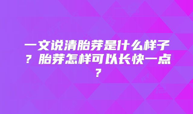 一文说清胎芽是什么样子？胎芽怎样可以长快一点？