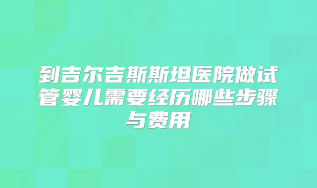 到吉尔吉斯斯坦医院做试管婴儿需要经历哪些步骤与费用
