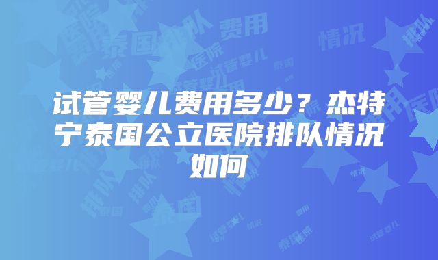 试管婴儿费用多少？杰特宁泰国公立医院排队情况如何