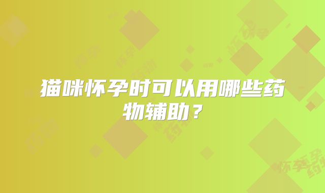 猫咪怀孕时可以用哪些药物辅助?