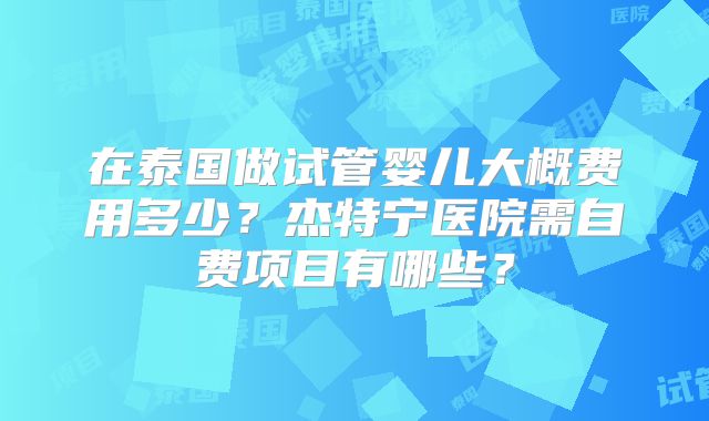 在泰国做试管婴儿大概费用多少？杰特宁医院需自费项目有哪些？