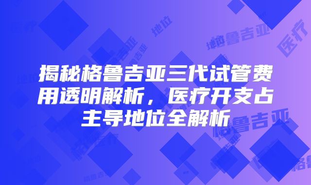 揭秘格鲁吉亚三代试管费用透明解析，医疗开支占主导地位全解析