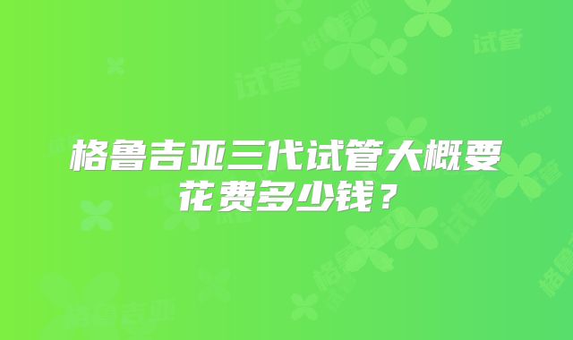 格鲁吉亚三代试管大概要花费多少钱?