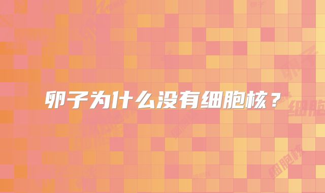 卵子为什么没有细胞核？