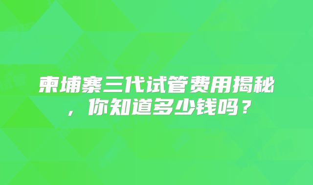 柬埔寨三代试管费用揭秘,你知道多少钱吗?