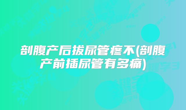 剖腹产后拔尿管疼不(剖腹产前插尿管有多痛)