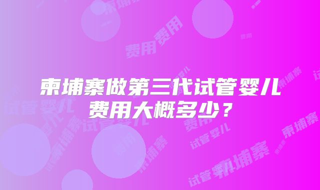 柬埔寨做第三代试管婴儿费用大概多少？