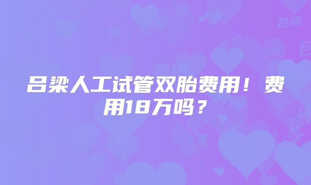 吕梁人工试管双胎费用！费用18万吗？