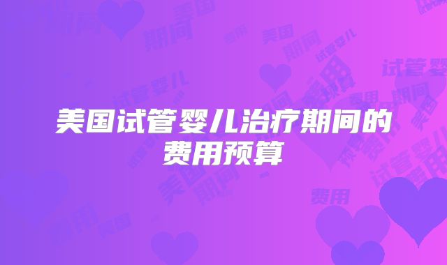 美国试管婴儿治疗期间的费用预算