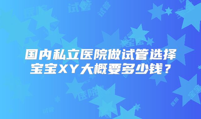 国内私立医院做试管选择宝宝XY大概要多少钱？