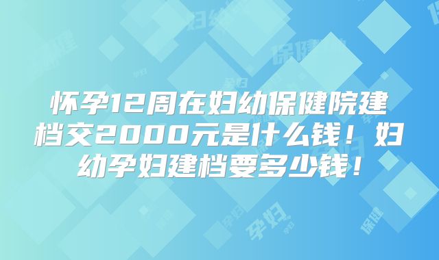 怀孕12周在妇幼保健院建档交2000元是什么钱！妇幼孕妇建档要多少钱！